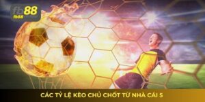 Tỷ lệ kèo nhà cái 5